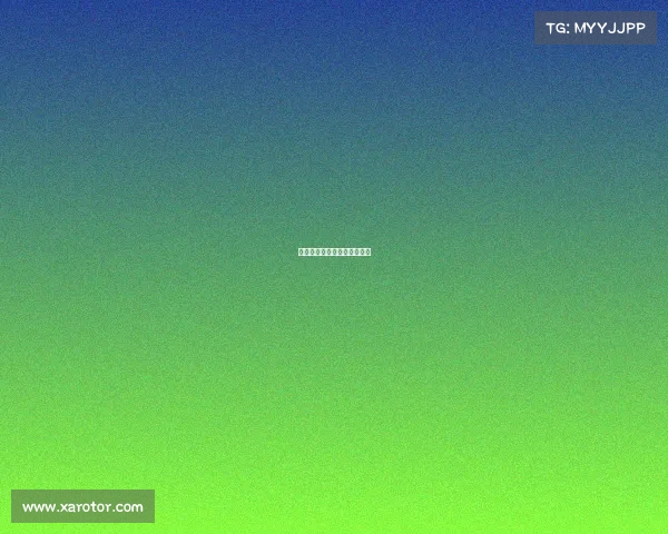 篮球赛季收官：最后的争夺战